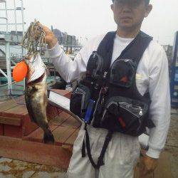 岸和田一文字　ウキ釣りでハネ60cmの他メバル＆ガシラ