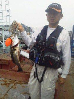 岸和田一文字　ウキ釣りでハネ60cmの他メバル＆ガシラ