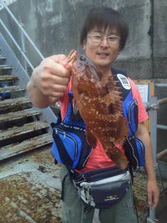 沖の北で33cmのアコウＧＥＴ♪