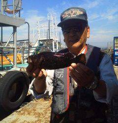 沖の北・中波止の2番でのウキ釣りの釣果情報