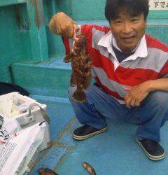 沖の北でしらさのウキ釣り、31cmのアコウなど釣れました