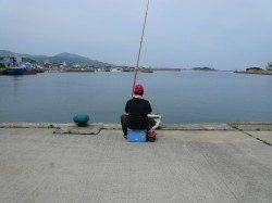 志筑　投げ釣りでキス〜23cm22匹☆　淡路島もピンギスモーか