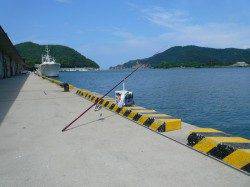 津居山港　アスリートカップ終了後に、投げ釣りでキス〜17cm☆