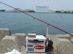 東二見人口島　２時間程度の引き釣りでキス〜17cm8匹