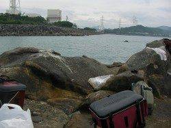 朝一いきなりフカセで39cmの グレ！！御坊の磯