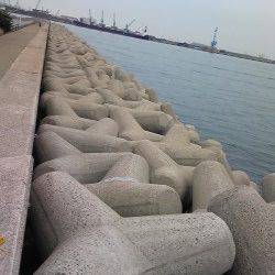 １万トン先端テトラでウキ釣り・ちょい投げの釣果