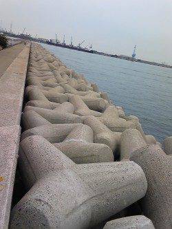 １万トン先端テトラでウキ釣り・ちょい投げの釣果