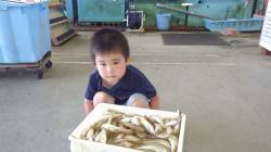 田辺の扇ヶ浜、ゴカイをエサに投げ釣り、キス…