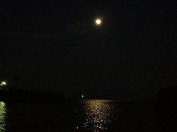 福田川河口でチニング、念願の初チヌ！