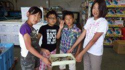 堺漁港　サビキで豆アジ楽しめる　キッズ釣果☆