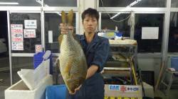 堺の堤防　サバの切り身でタマミ67.5cm…