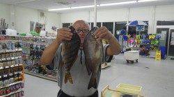 伊古木の波止にてコロダイをゲット！