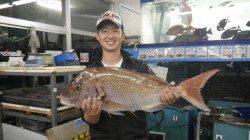 みなべ地磯　フカセでマダイ78cm4935g