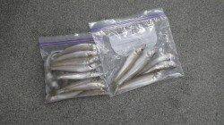 みなべ埴田と堺漁港でのキス釣果