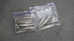 みなべ埴田と堺漁港でのキス釣果