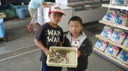 埴田漁港　投げ釣りでキス！キッズ釣果☆