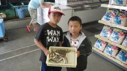 埴田漁港　投げ釣りでキス！キッズ釣果☆