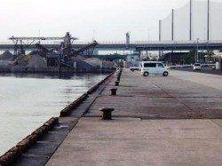 サビキで豆アジ・サバ５日泉大津店朝のRT