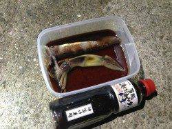 アジュール舞子!夜のスルメイカ!