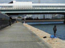 絶好調！ハネ祭りだ南芦屋浜