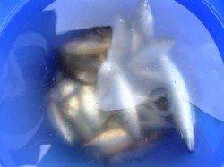 ☆雨でも釣れるぜぇ☆泉大津夕方RT１５日