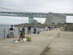 【豆アジ好調！！】アジュール舞子ＲＴ