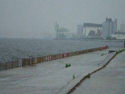 【雨でも釣り出来ます♪】南芦屋浜