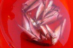 兵突Ｅの風裏で豆アジ４０匹