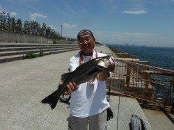 【エビ撒きでスズキクラス!コッパグレも♪】