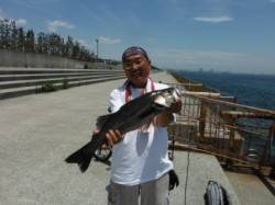 【エビ撒きでスズキクラス！コッパグレも♪】…