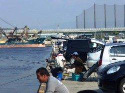 豆アジ♪3日夕方泉大津RT