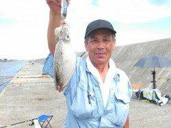 【ムコイチはタコフィーバー】1.5ｋｇのちょ～良型マダコ！