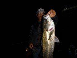 兵突の釣り盛り上がってますよ。