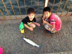 【サビキでカタクチにママカリ♪】南芦屋浜夕方