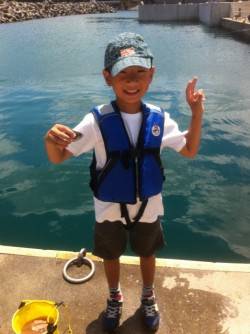 サビキ爆釣!ヌカ切り・投げも！雑賀崎