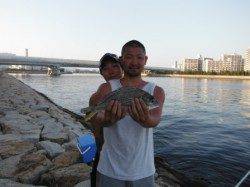 【良型キビレ♪豆サバも確認！】南芦屋浜