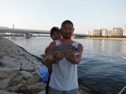 【良型キビレ♪豆サバも確認！】南芦屋浜