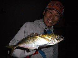 オススメ！和田防アジング＆メバリング