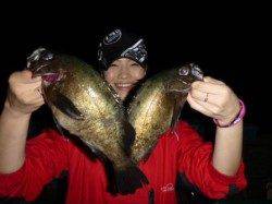 ラッシュ！梅雨メバル！