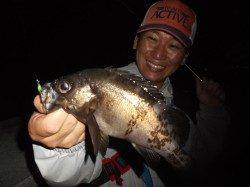 オススメ！和田防アジング＆メバリング