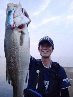 神戸沖堤防デイゲームシーバス状況♪