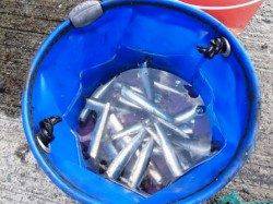 本日はイワシ♪4日夕方泉大津ＲＴ