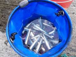 本日はイワシ♪4日夕方泉大津ＲＴ 