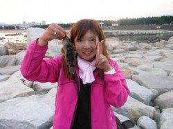 芦屋浜タコ好調！！グレも狙えます。