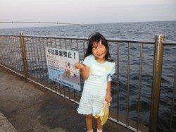 南芦屋浜【夕方のサビキ釣り、好調で～す♪】