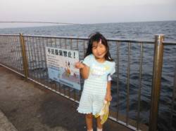 南芦屋浜【夕方のサビキ釣り、好調で～す♪】…