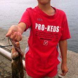 ☆サバチャン突入☆泉大津　夕方RT　３０日