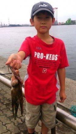 ☆サバチャン突入☆泉大津　夕方RT　３０日