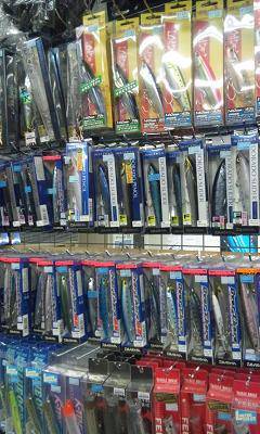 和歌山沖磯　シーズンIN♪