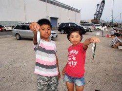 ◇イワシ・小サバ乱舞◇夕方泉大津RT　５日